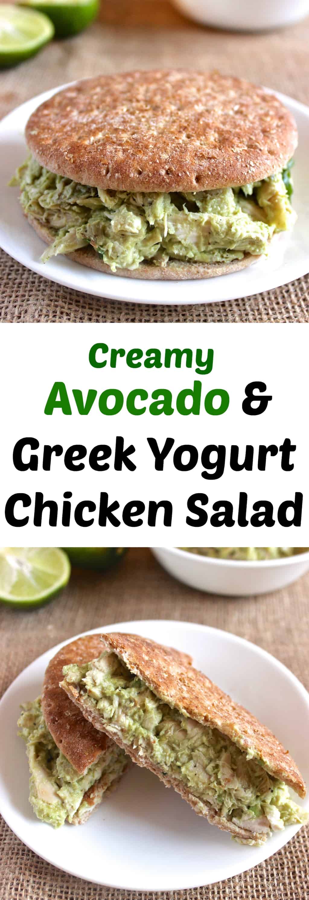 Creamy Greek Yogurt Avocado Chicken Salad - Healthy Liv